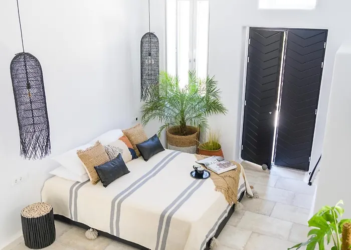 Euphoria Chora Naxos Naxos City