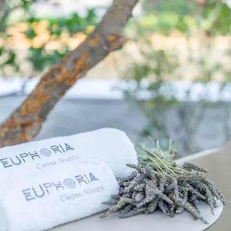 Euphoria Chora Naxos